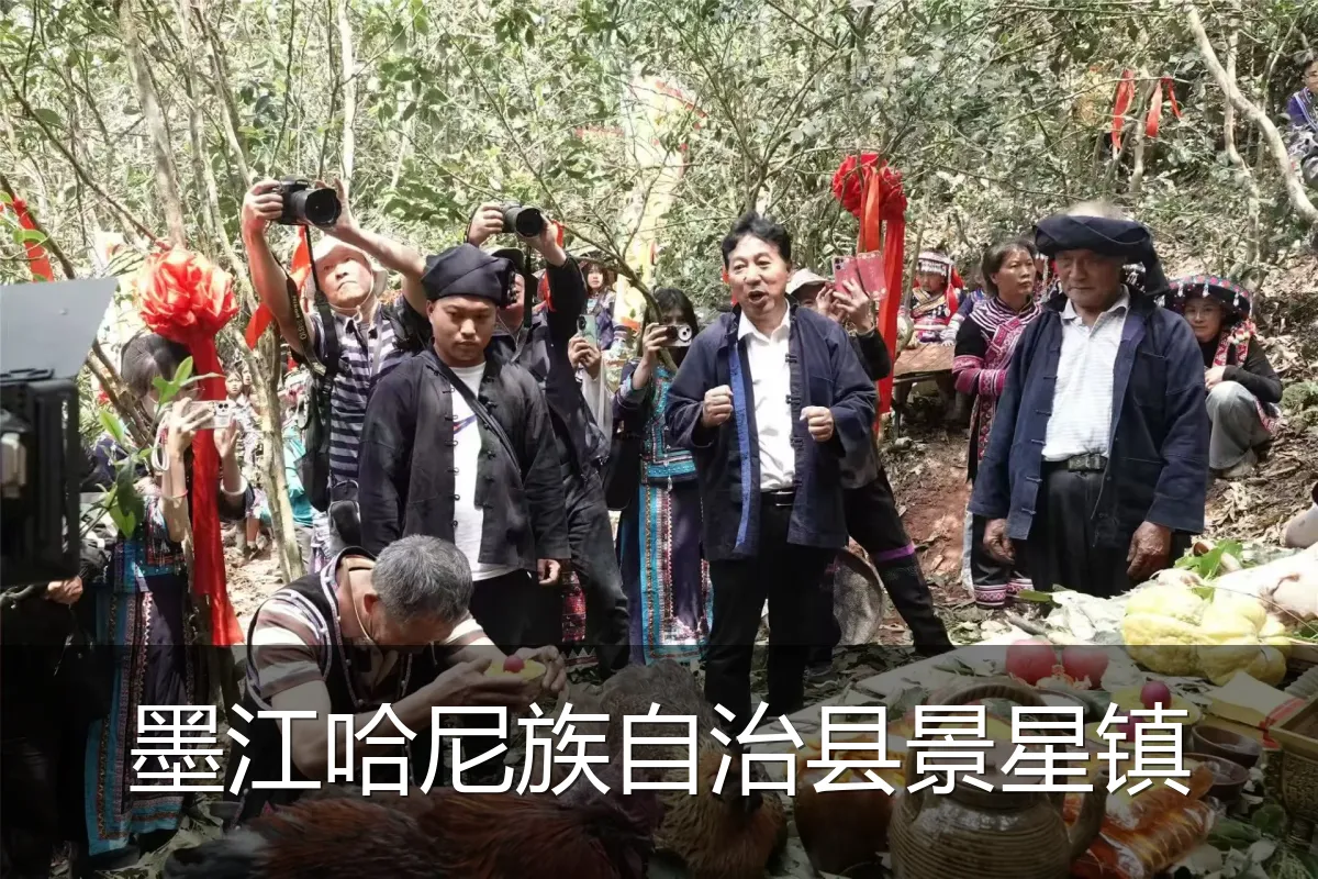 墨江哈尼族自治县景星镇